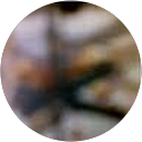 Carver A. profile picture